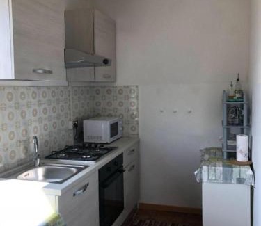 Offida Casa | Palme e vigne