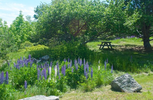 Hall Quarry Casa | Panaramic Somes Sound Ocean and Mountain View