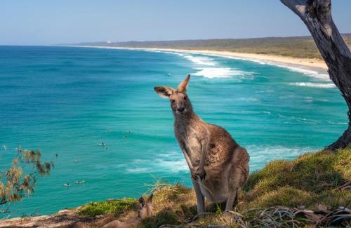 Point Lookout Complejo | Pandanus Palms Holiday Resort