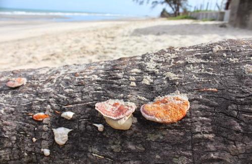 Kuantan Hotel | Pantai Regal Hotel