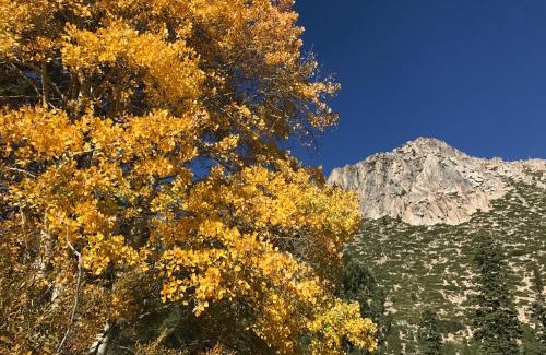 Lakeside Park Hotel | Paradice Motel