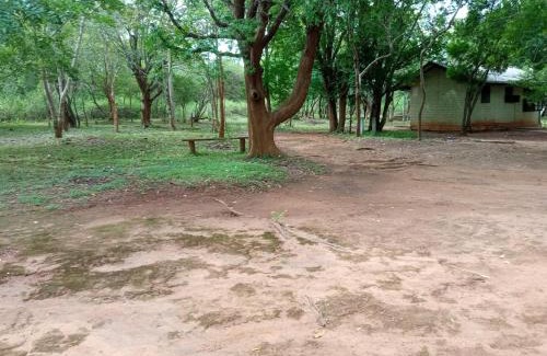 Nochchiyagama Casa | Park view Bungalow Wilpattu