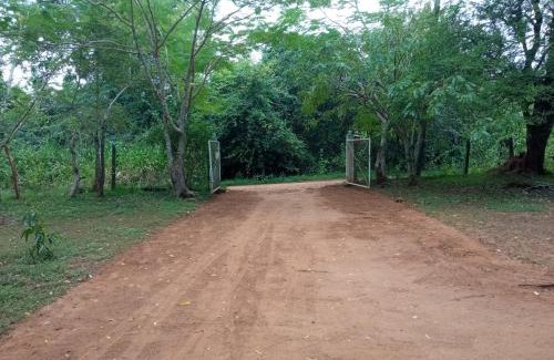 Nochchiyagama Casa | Park view Bungalow Wilpattu