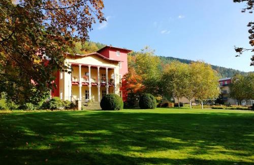 Bad Schandau Hotel | Parkhotel Bad Schandau mit SPA