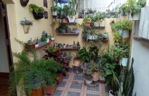 Comayagua Casa | Patio De Joan