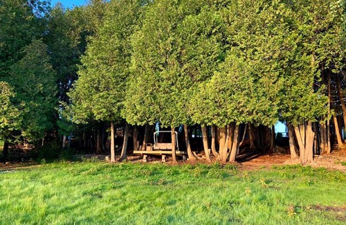 Springfield Casa | Peaceful Lakefront Cottage