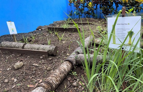 Soufriere Cabaña | Peaceful Retreat in Nature. Charming Cottage in Soufrière.