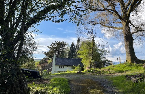 Machynlleth Cabaña | Peaceful spacious cottage close to mountain walks and beaches