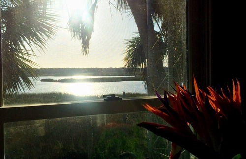 Old Homosassa Casa | Pacífica Waterfront Home, Sunset diario, muelle, 3 minutos a la rampa para botes y acceso al Golfo