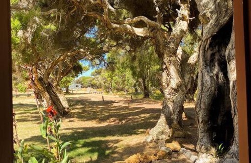 Bow Bridge Apartamento | Peacehaven Shack on the Irwin Inlet