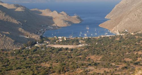 Pedi Hotel | Pedi Beach Hotel