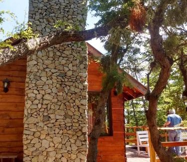 Moquehue Chalet De Esquí | Pendientes de Moquehue