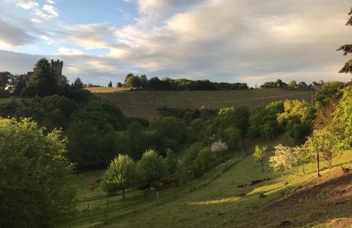 Serrig Casa | Pension Schmitz