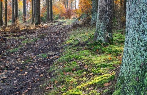 Drees Casa | Pensionszimmer Larifari