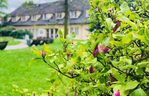 Sumperk Casa | Penzion G