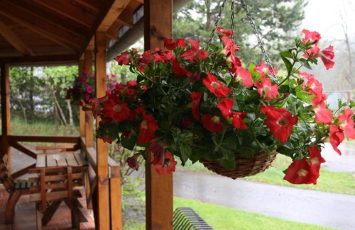Vetrni Hotel | Penzion Na Cihelně