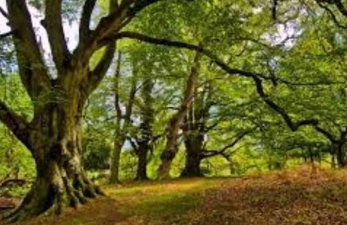 Barrington Casa | Perfect Family Getaway: Spacious 5BR Home in Barrington