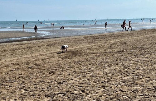 Gorgo Apartamento | Perfect for families, golfers, dog lovers, only 12 min from the beach of Lignano