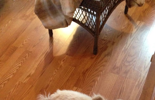 Bayview Casa | Escapada perfecta para parejas. ¡CASA FLOTANTE única con VISTAS ESTELARES!