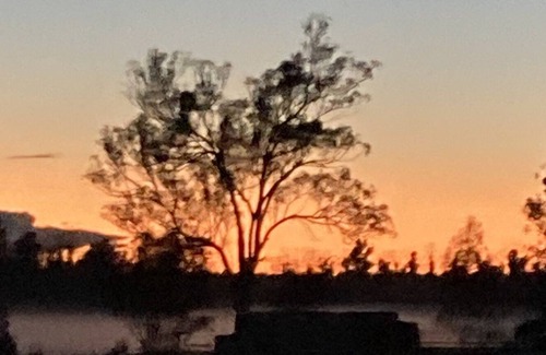 Broulee Otro | Pet friendl farm stay