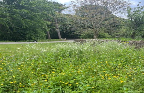 Langley-on-Tyne Chalet De Esquí | Cabaña junto al lago que admite mascotas.