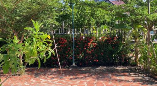 Thoi Binh Casa | PHẠM Homestay Ca Mau