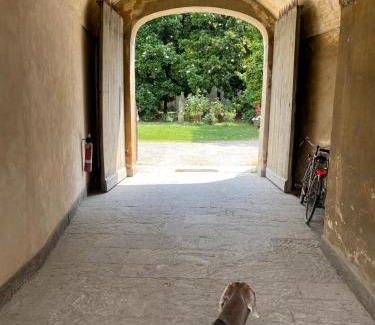 Centro Storico Cama Y Desayuno | Piacenza centro