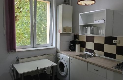 Tirgu Mures Apartamento | Piata Armatei 1 camera