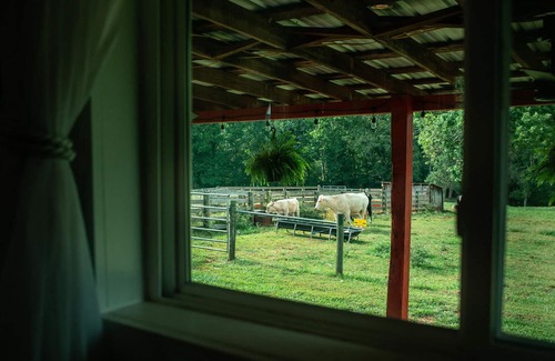 Morganton Apartamento | Picturesque Cottage on a Beautiful Farm