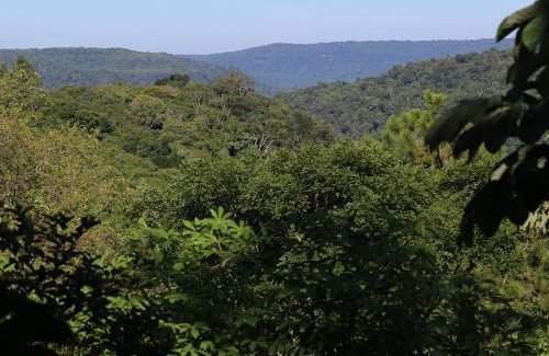 Cainguas Hotel | Piel de Timbó