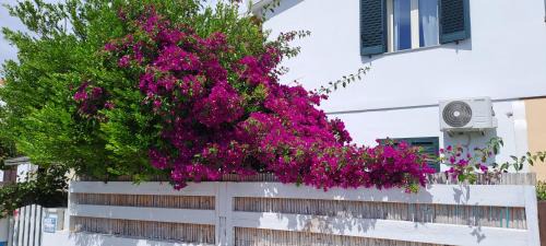 Calasetta Casa | Piero's Apartment Calasetta