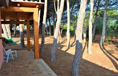 Spiaggia Grande Casa | Pineta Spiaggia Grande 2