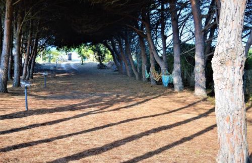 Spiaggia Grande Casa | Pineta Spiaggia Grande 2