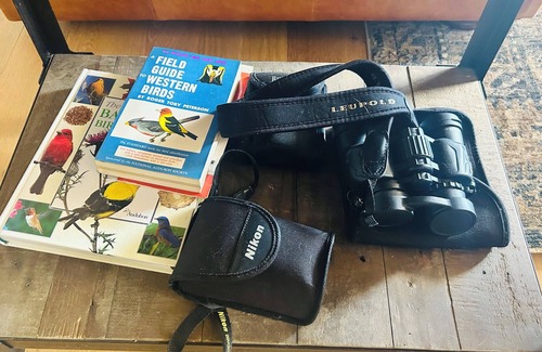 Loveland Cabina | Pinewood Lake Cabin - Deck view and cozy interior.