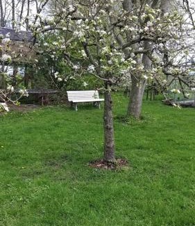 Loosdorp Apartamento | Pipowagen 'Slapen by Co'