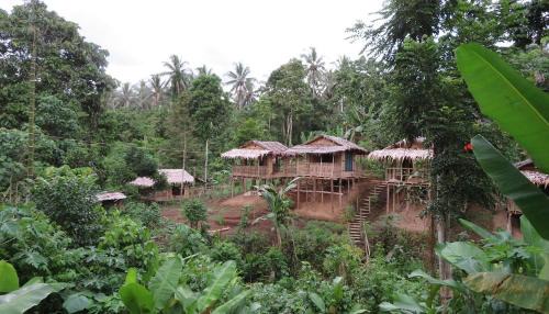 Tol Casa | PNG Family Empowerment Inc