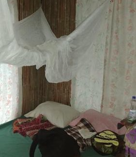 Tol Casa | PNG Family Empowerment Inc