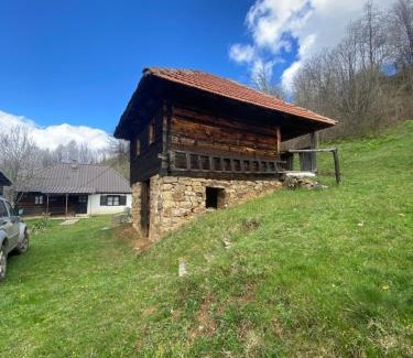 Central Serbia Chalet De Esquí | Pod Golijom selo moje