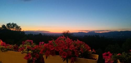 Gabrovo Hotel | Podgorski An