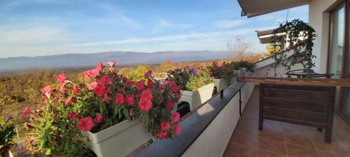 Gabrovo Hotel | Podgorski An