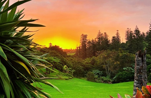 Burnt Pine Cabaña | Poinciana Cottages