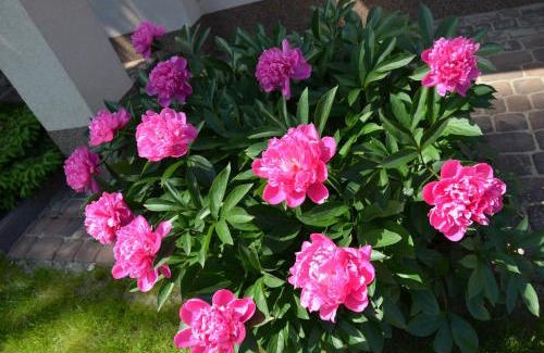 Kamienna Gora Casa | Pokoje na Kamiennej