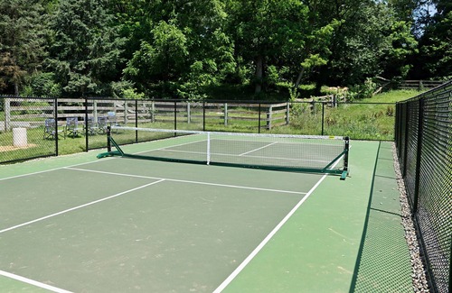 Mount Joy Casa | Pool HotTub Pickleball Golf Arcade Firepit Fishing