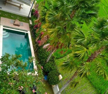 Babakan Casa | PopKorn Villa Guesthouse