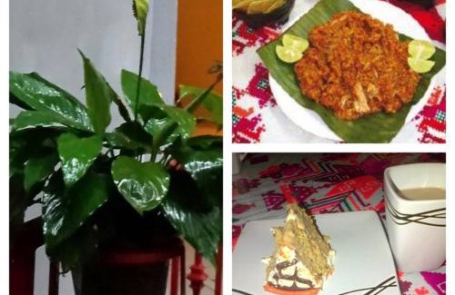 Xilitla Casa | Posada Familiar El Dorado