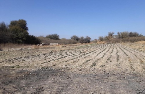 Santa María Casa | Posada los arboles
