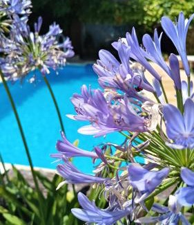 Hurlingham Apartamento | Posada Villa club, Apart 2 cerca de aeropuerto El Palomar