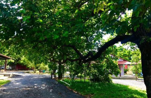 Mambai Cabina | Pousada e Chales Mambaí Inn