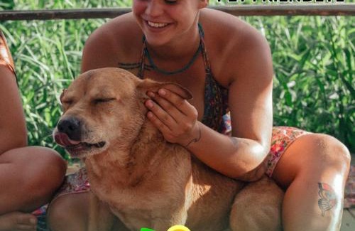 Pinheira Apartamento | Pousada Magia da Guarda