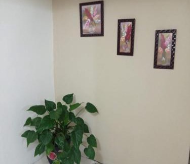 Cachoeira Paulista Hotel | Pousada Videiras Santa Rita de Cássia